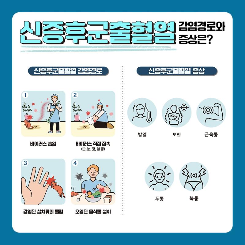 쥐 매개 감염병 예방 안내